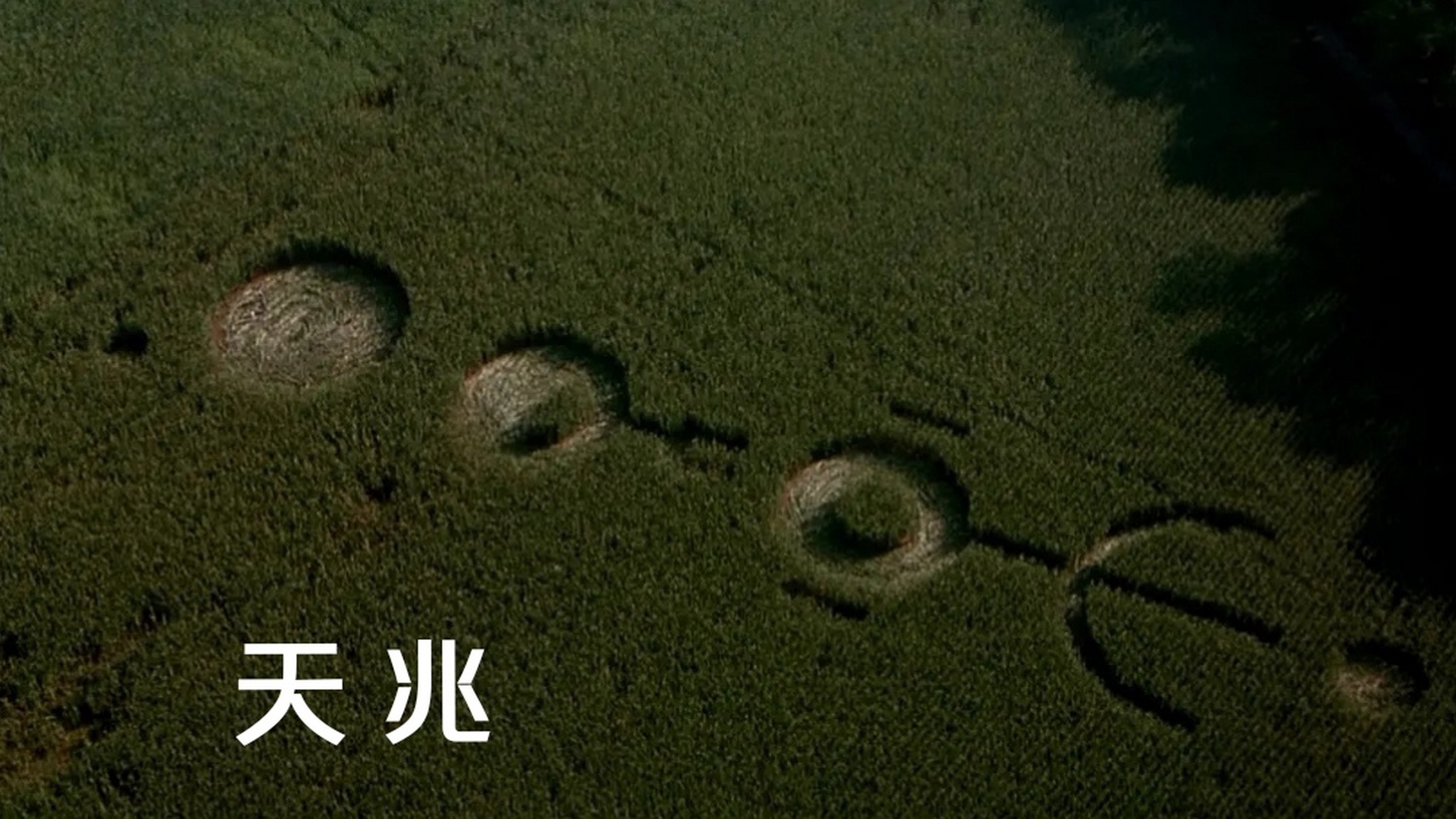 麦田怪圈背后的外星人真相