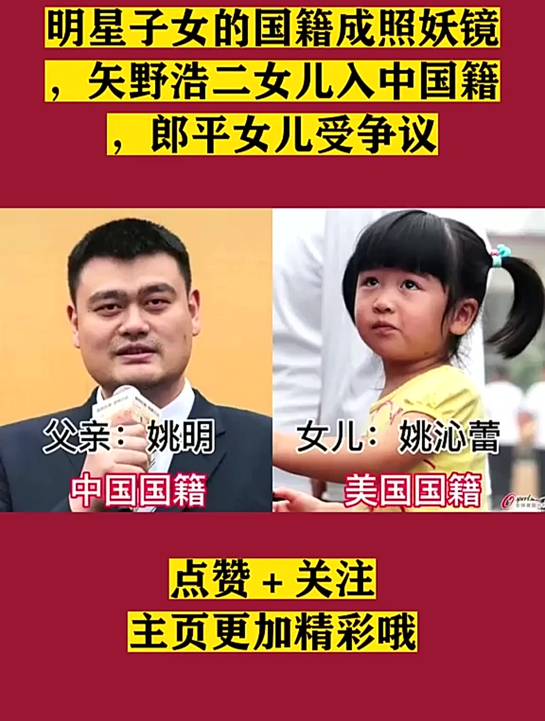 明星子女的国籍成照妖镜,矢野浩二女儿入中国籍,郎平女儿受争议