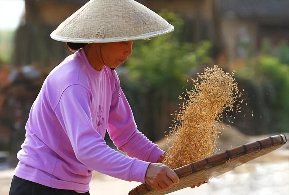 与"斗"相反的"簸箕"纹,三就是藤条或者竹篾编成的用以扬米去糠的器具