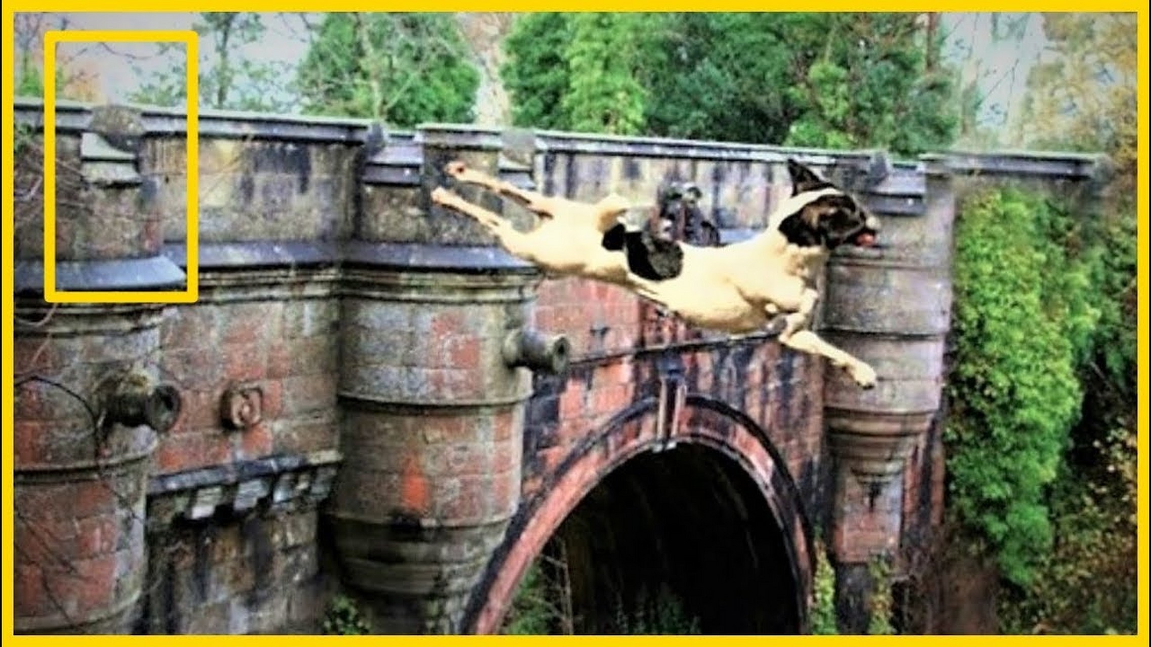 英国小镇的奥弗顿桥因多只狗跳桥死亡被称为"死亡之桥".