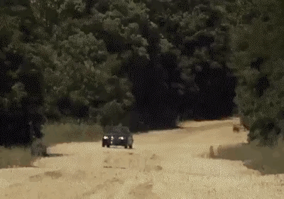 武器实际有多大别被图片迷惑了双眼