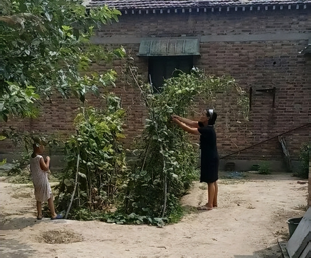 回顾河北女孩高考707分惊动教育厅记者来到她家却沉默了