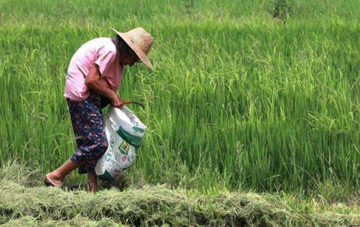 2016年湖北一92岁母亲去世,为仨智障儿子留千斤粮食,怕儿子挨饿