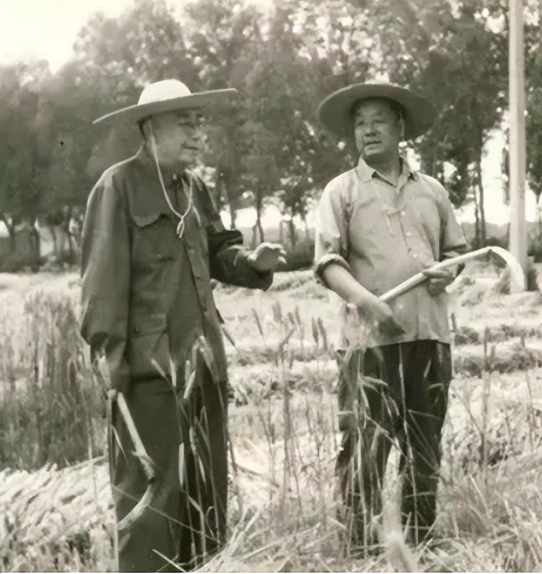 吴德出生在河北丰润的一个普通的工人家庭当中,他的原名叫做"李春华"
