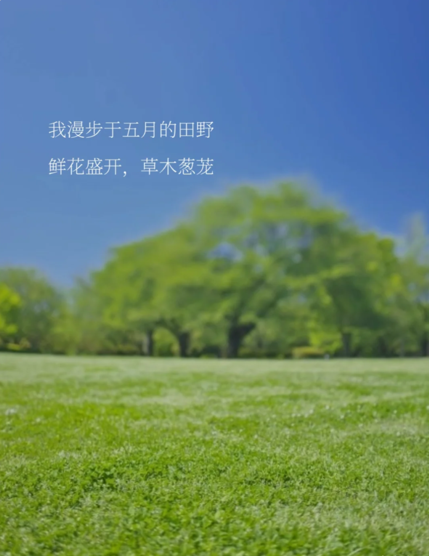 五一出游发圈文案提前收藏了