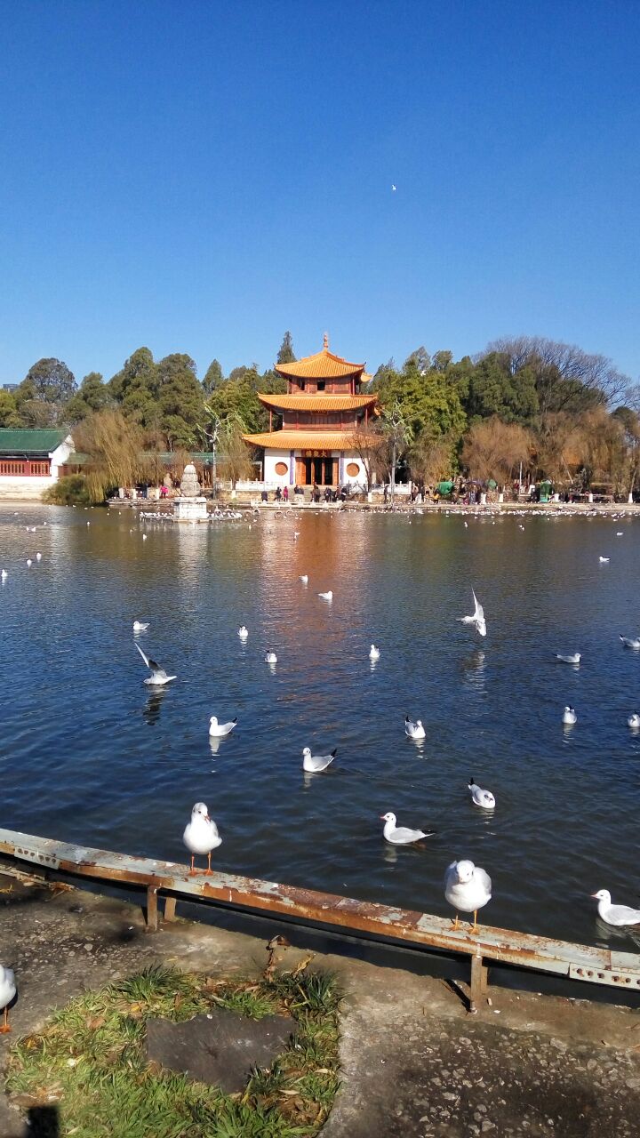 云南自由行旅游攻略推荐,云南游玩六天5晚攻略纯干货,建议收藏