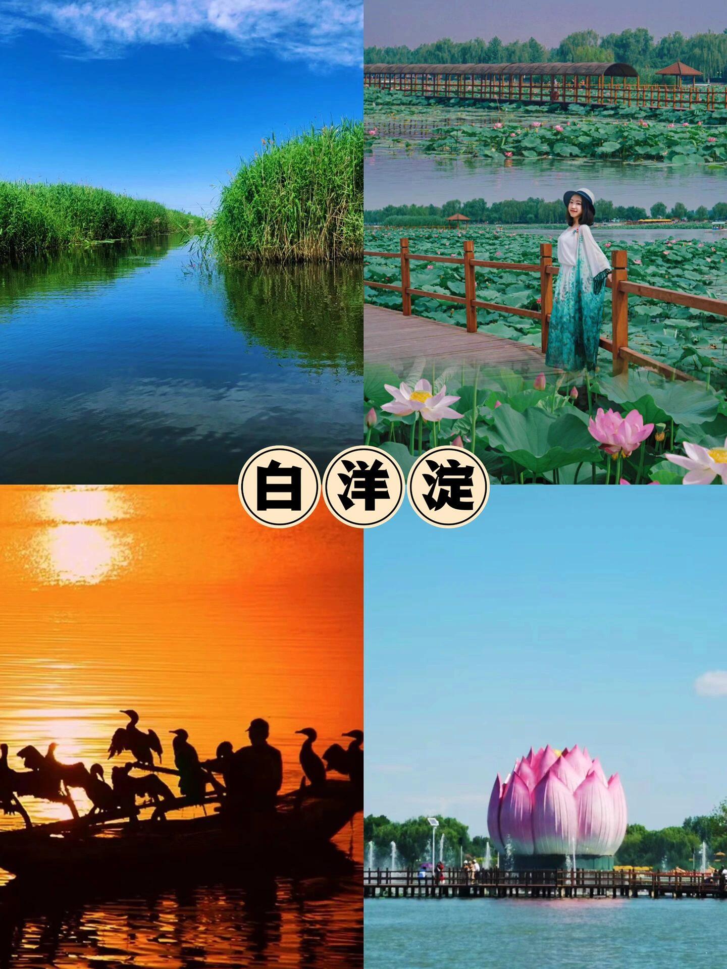 【白石山】 著名景点山盟台爱情路山中晴 最佳