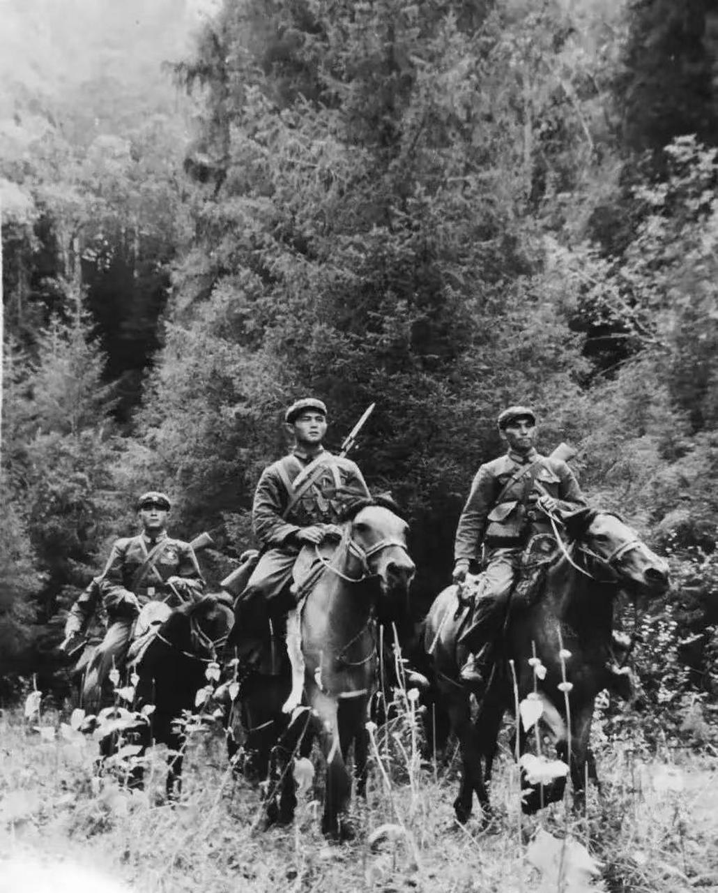 70年代,解放军骑兵背着56式在边境巡逻,战争时期,我军骑兵大多是龙