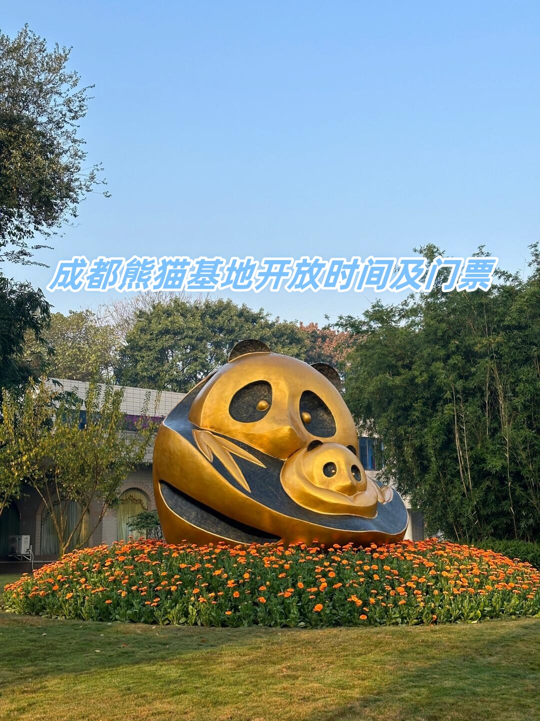 成都熊猫基地开放时间及门票  基地每天上午8:00-12:00和下午12:00-16