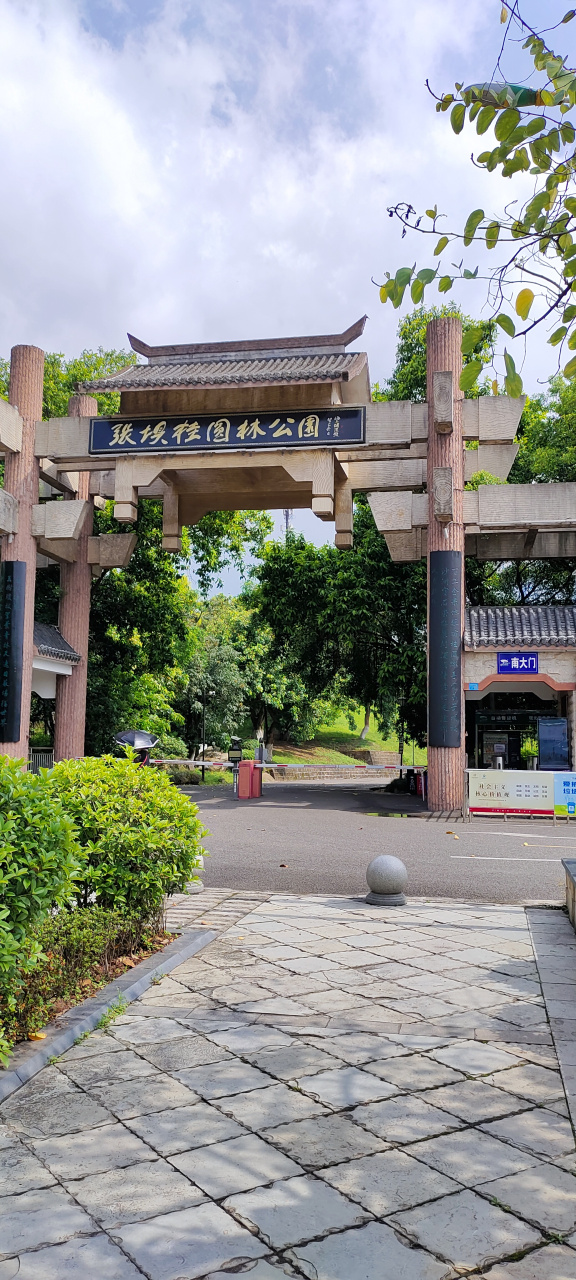 老家泸州       我和同学们再游张坝桂圆林风景区.