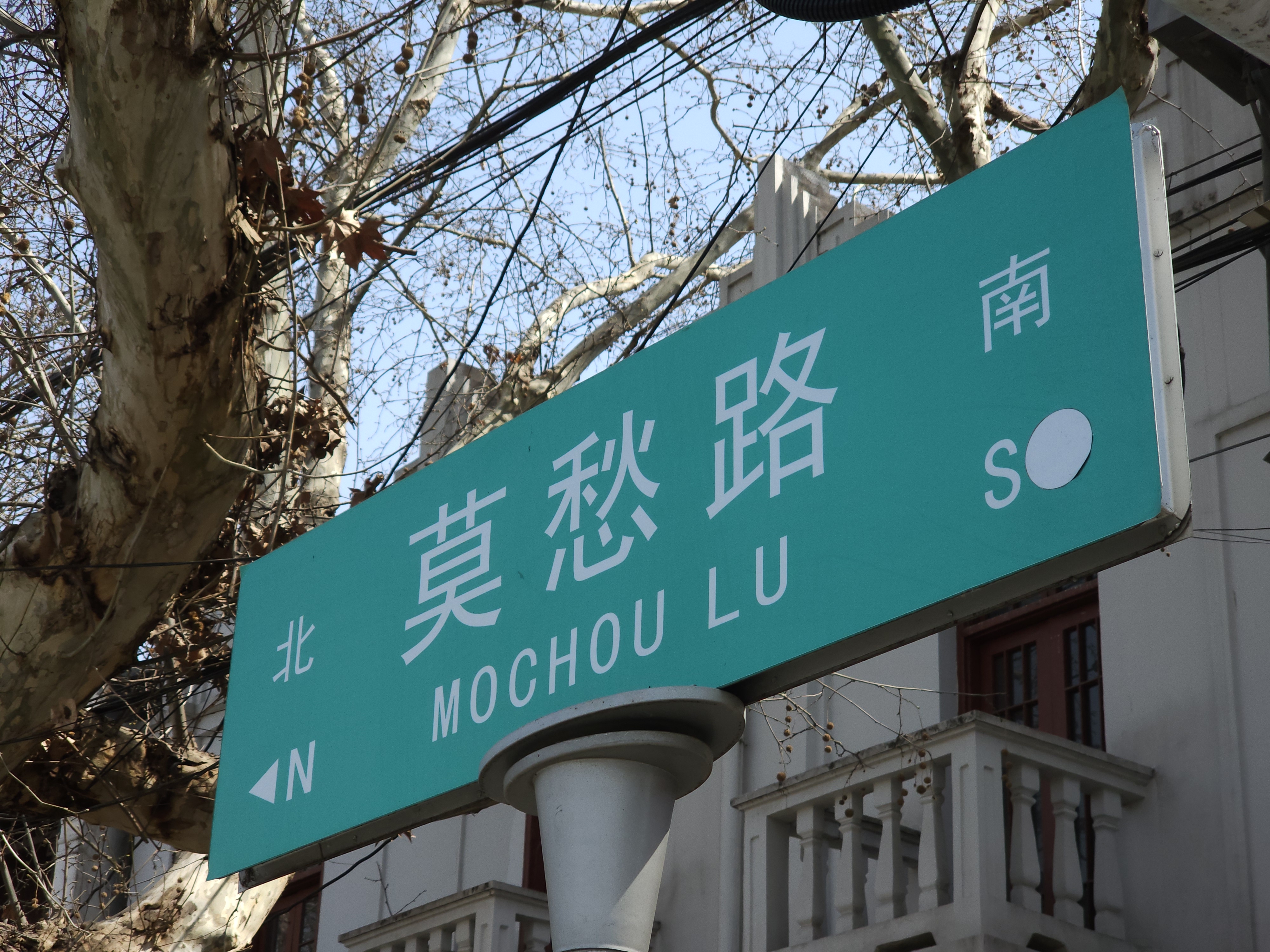 夜幕降临,莫愁路的霓虹灯在城市的夜空下闪烁