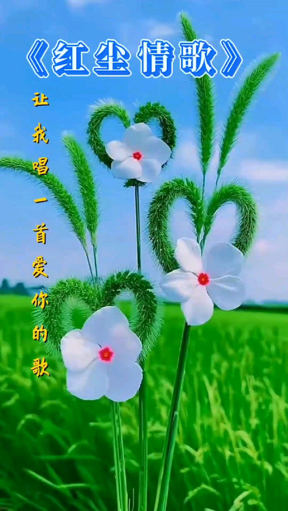 轰轰烈烈的曾经相爱过,卿卿我我变成了传说.