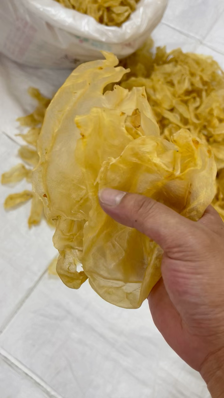 越南蜘蛛胶,平均一斤50头准,清水腊色,蜘蛛胶主要功效止咳化痰