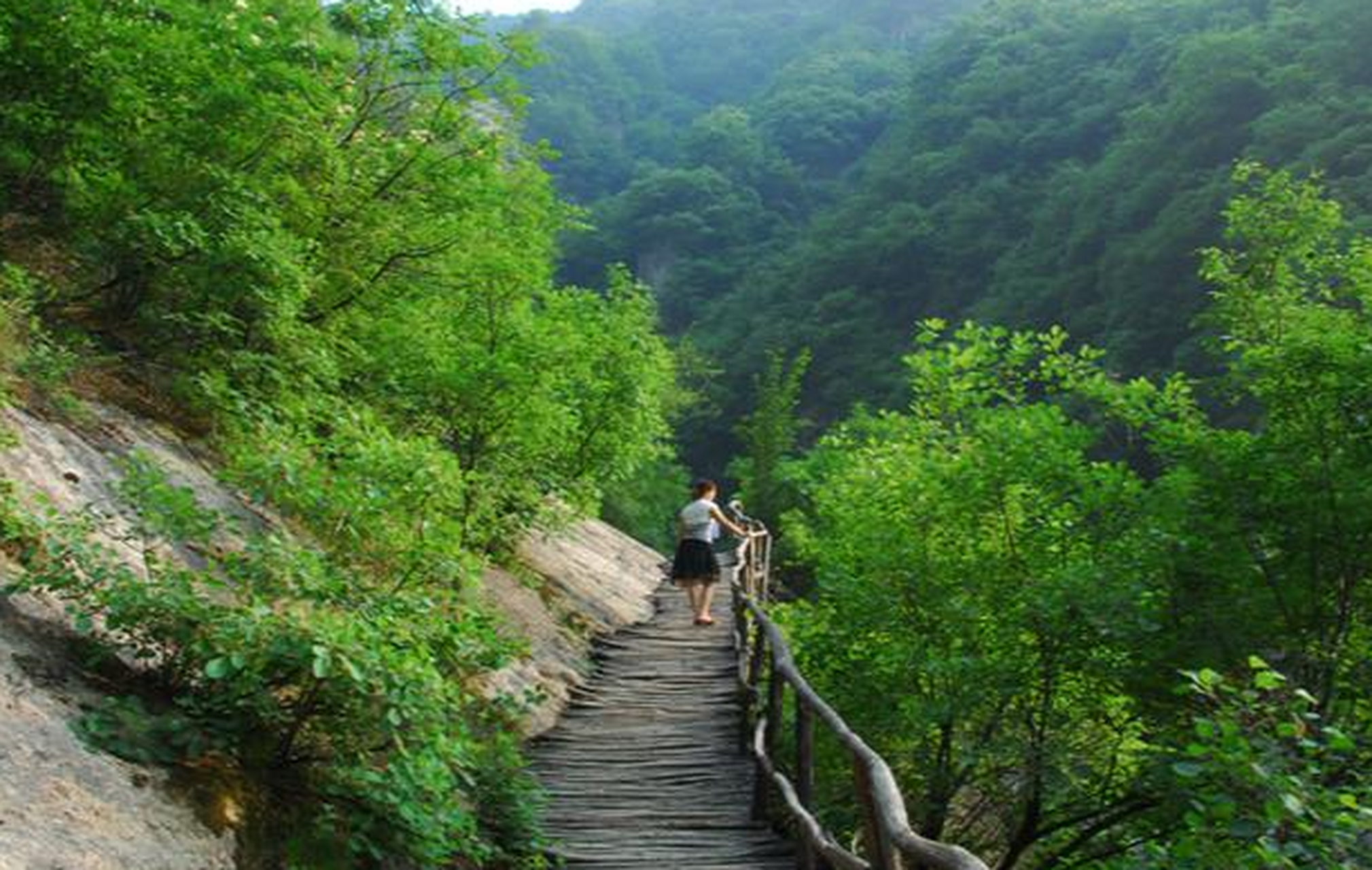 河南木札岭风景区图片