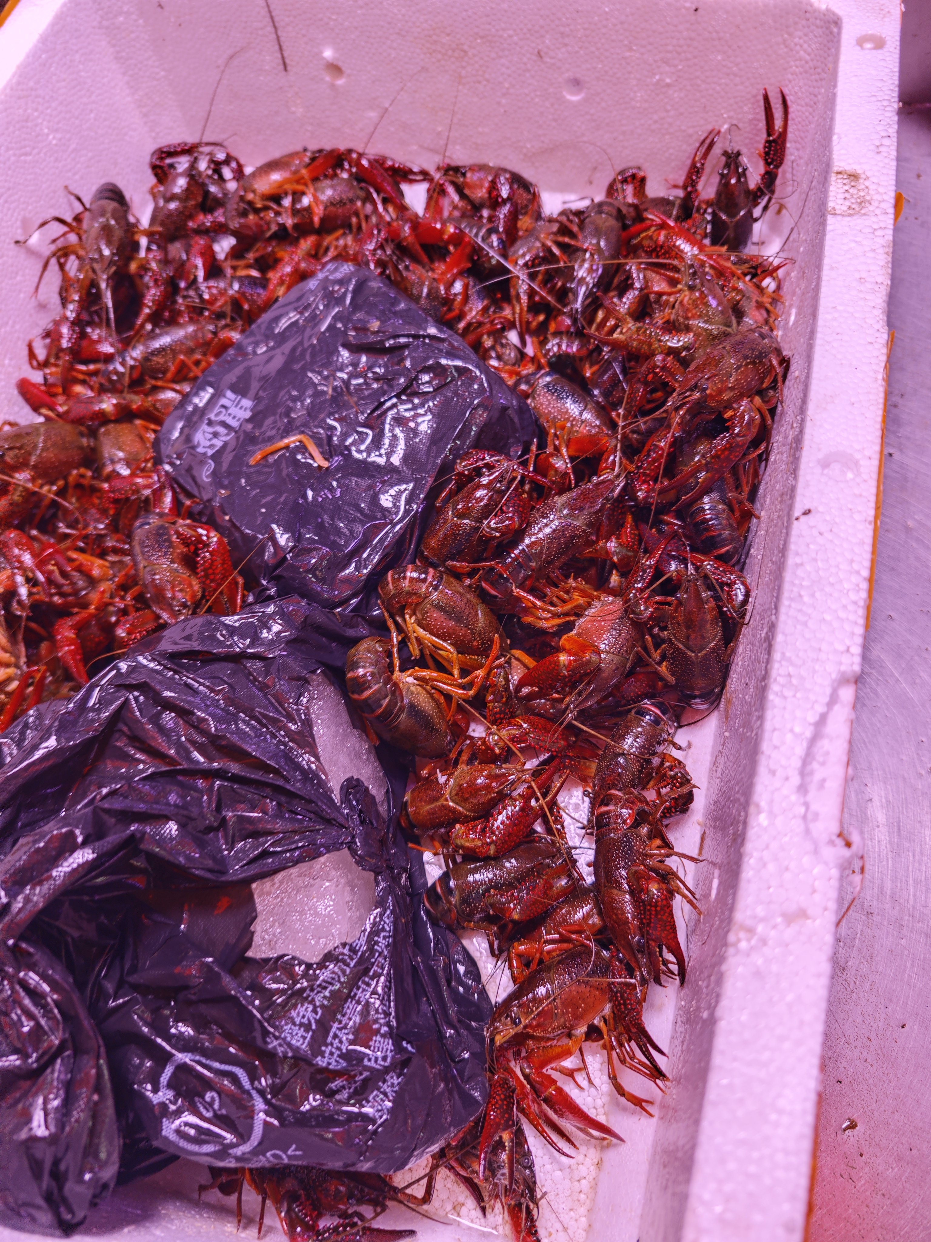 这边的小龙虾分了几个规格,小的10元,一般的18,大的33元,我买的中号20