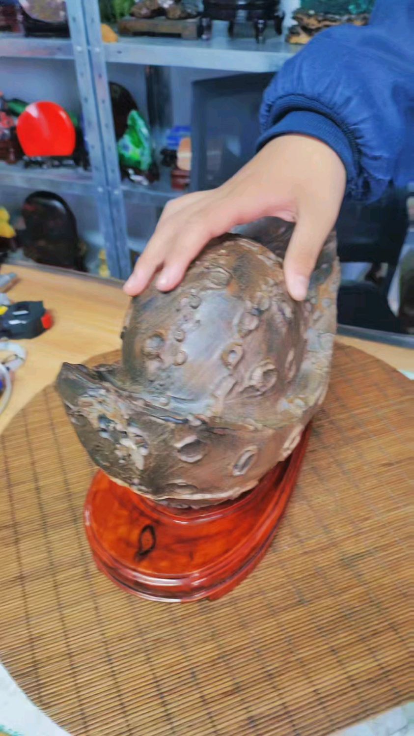 石胆石元宝,大家看值多少钱啊?