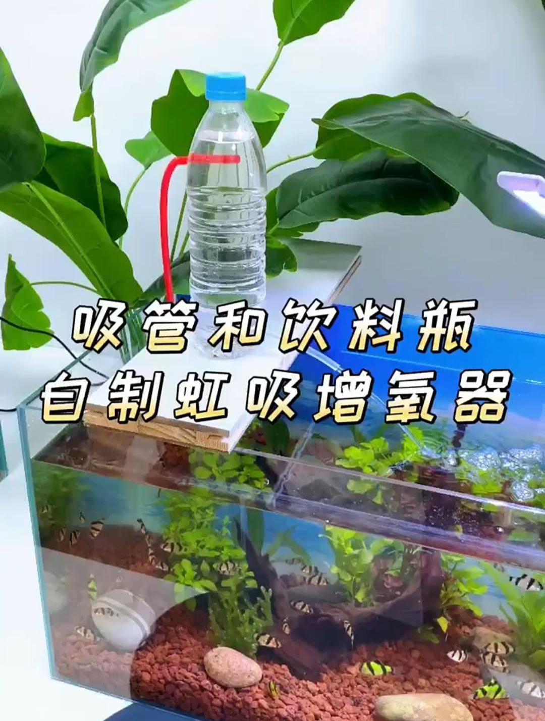 自制简易抽水装置图片