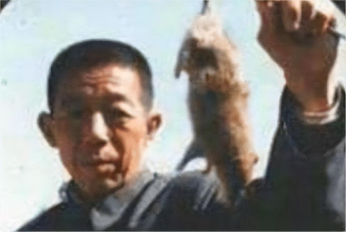 回顾"灭鼠大王"邱满囤,一次灭鼠35万只,为何遭专家反对破产