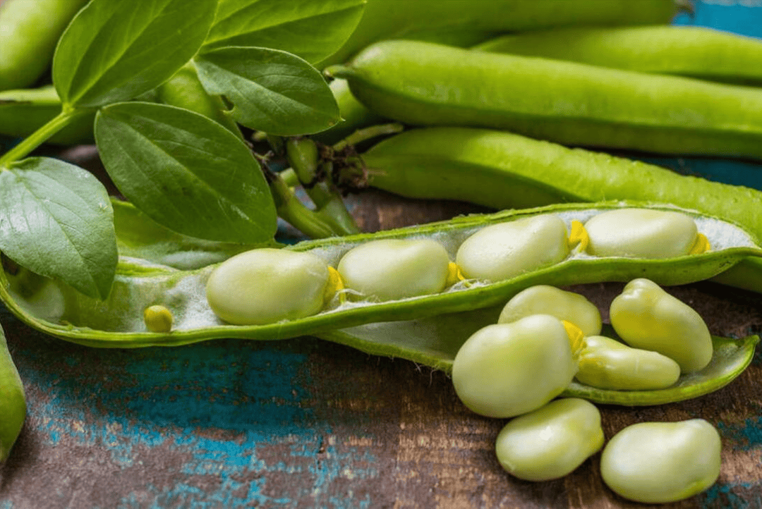 医生提醒 这5种蔬菜嘌呤比肉还高