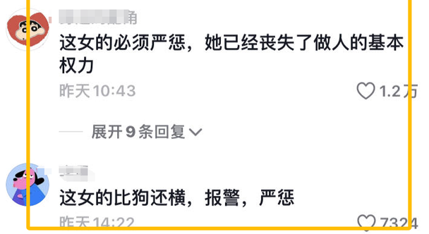 豪横女子遛9条狗不拴绳,大爷提醒被批惨,知情人曝内情,不简单