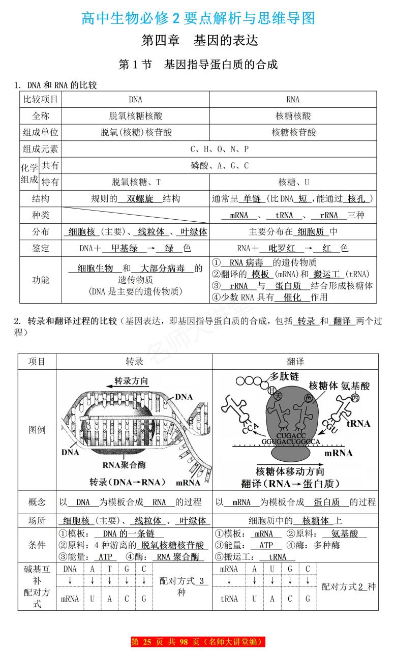 高中生物必修二——"基因指导蛋白质的合成"知识要点总结和思维导图