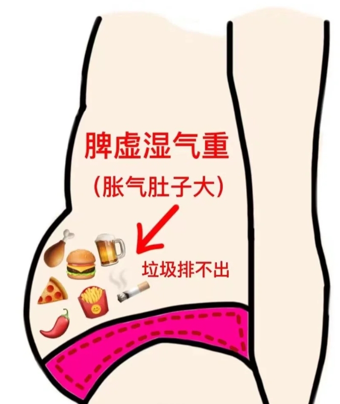 腹部饱满图片