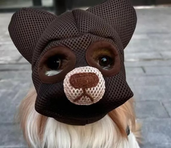 昨天看到蒙面狗愣住了,闺蜜说:戴上这个面具,狗就吃屎了!