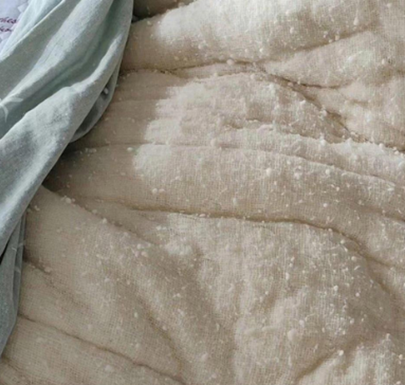 新棉絮都这样吗,我家的也是这样