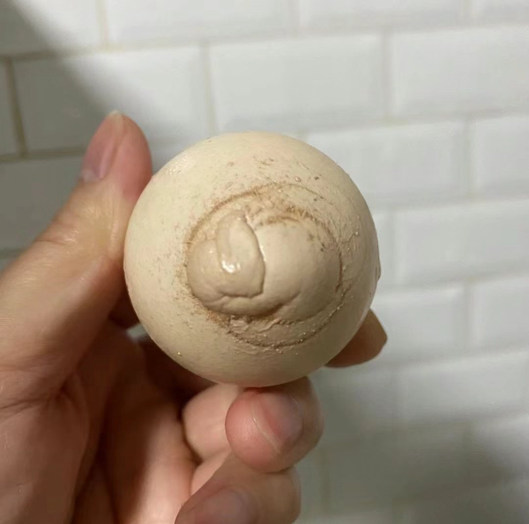 这个鸡蛋可以吃吗