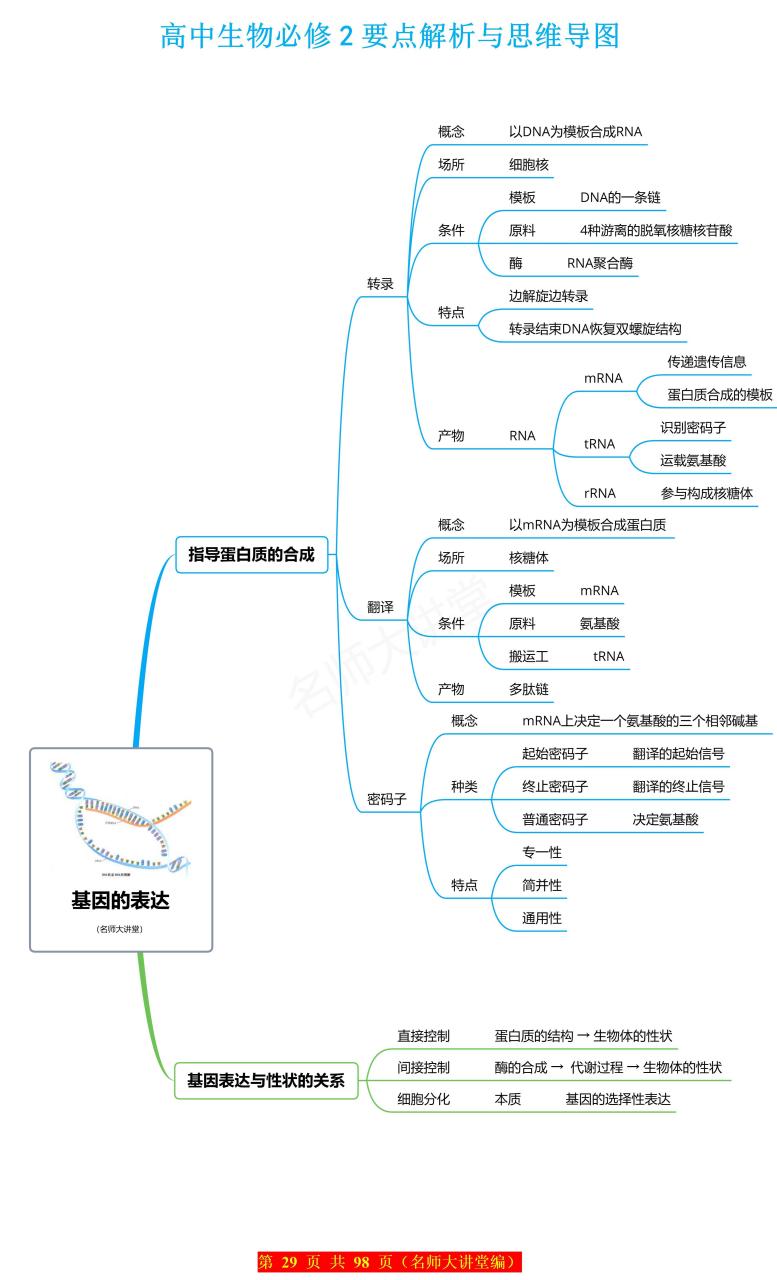 高中生物必修二——"基因指导蛋白质的合成"知识要点总结和思维导图