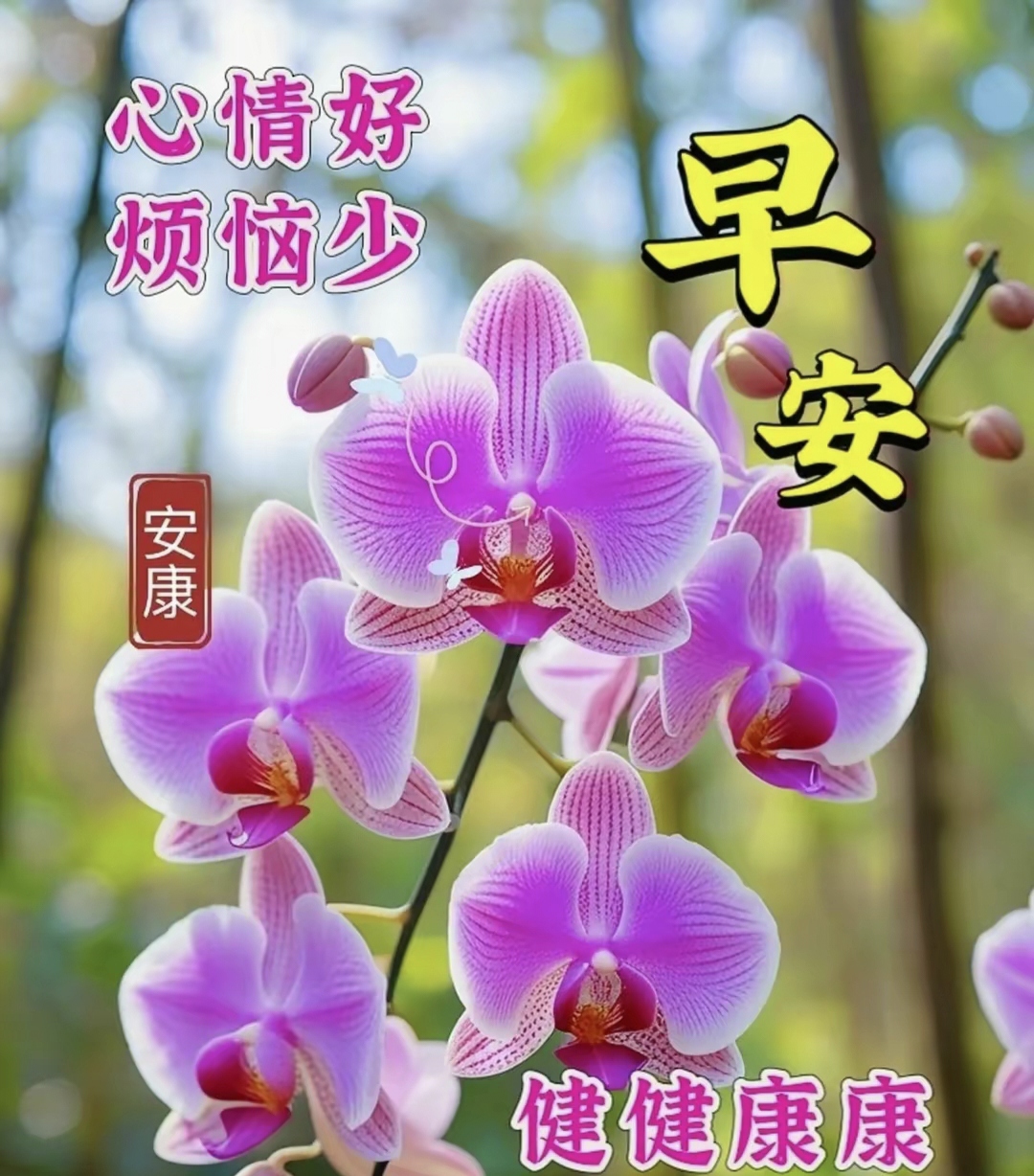 早安吉祥如意到, 阳光洒满幸福桥. 花开富贵迎新日, 鸟语吉祥绕树梢