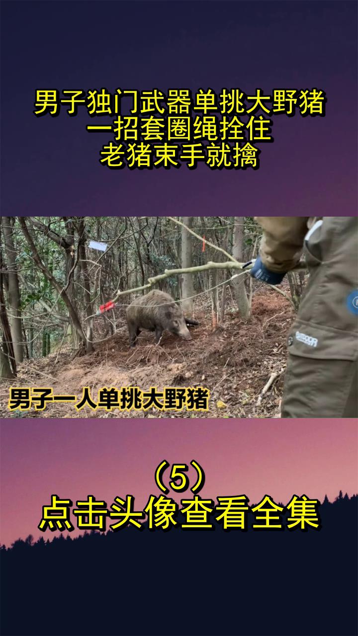 男子独门武器单挑大野猪,一招套圈绳拴住,老猪束手就擒5