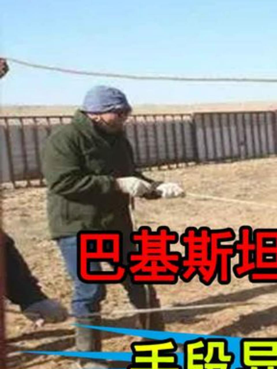 一刀宰杀骆驼,背后的残忍与反思1