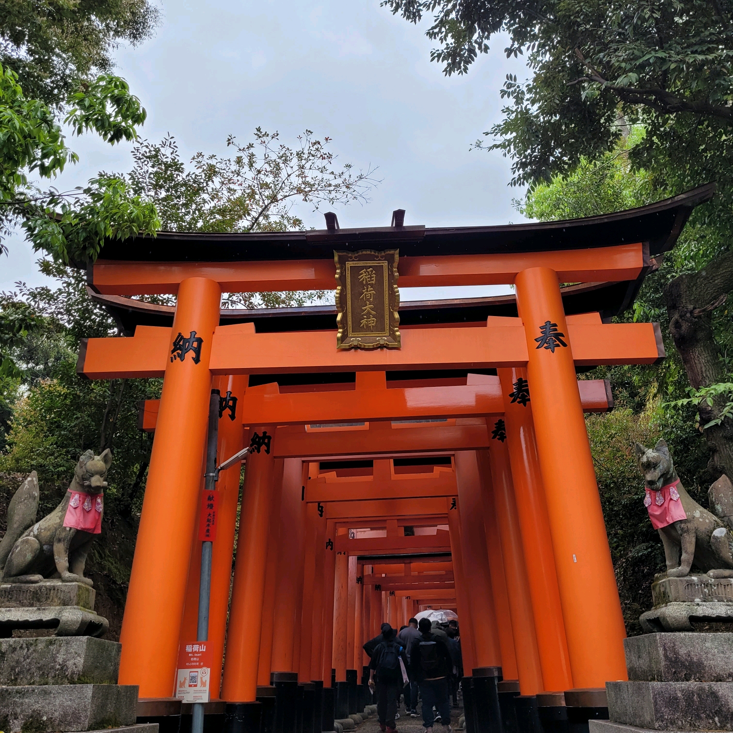 京都伏见稻荷大社的千本鸟居掠影