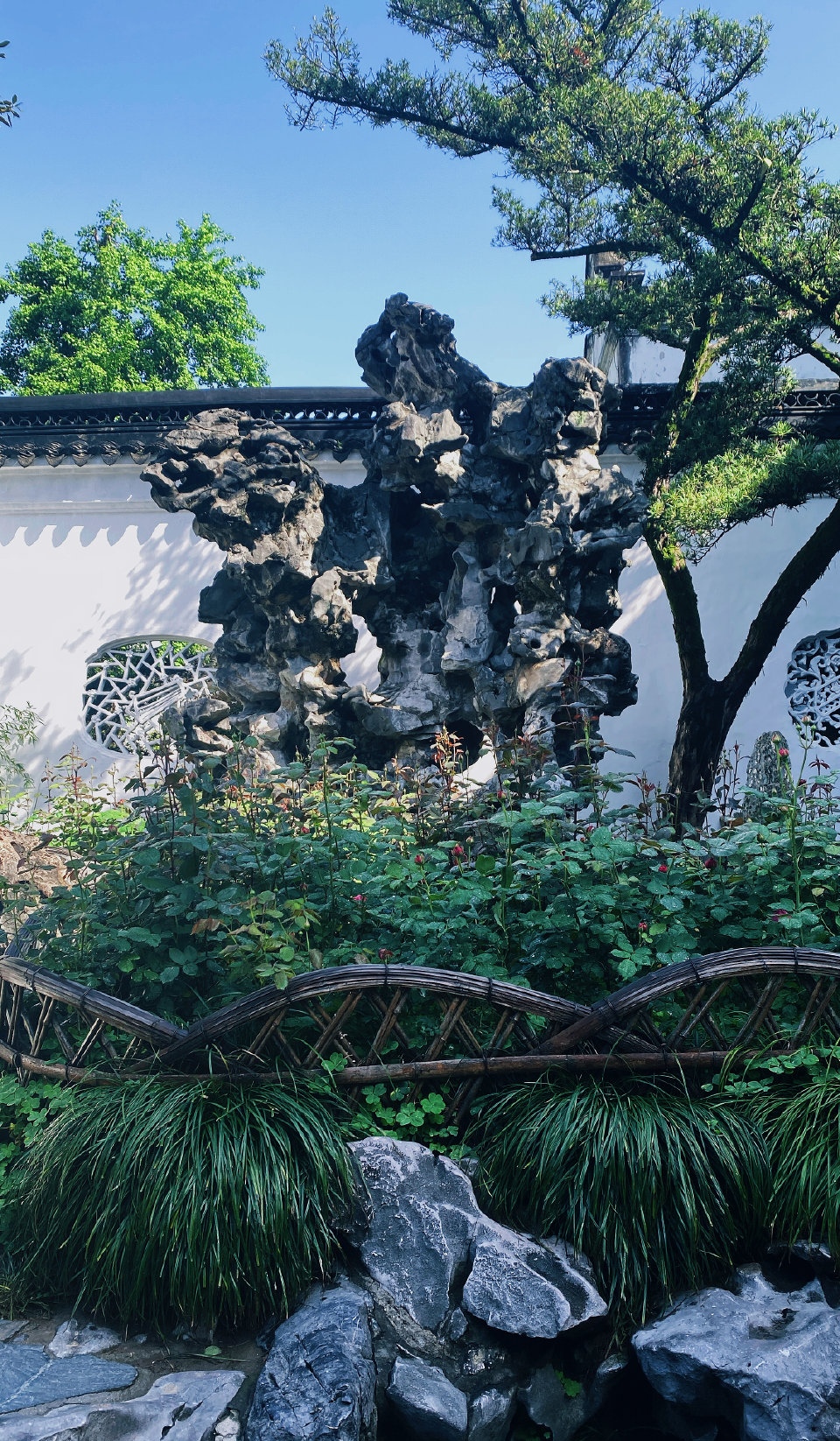 「狮林探幽」——苏州狮子林,山水田园间的古典雅韵