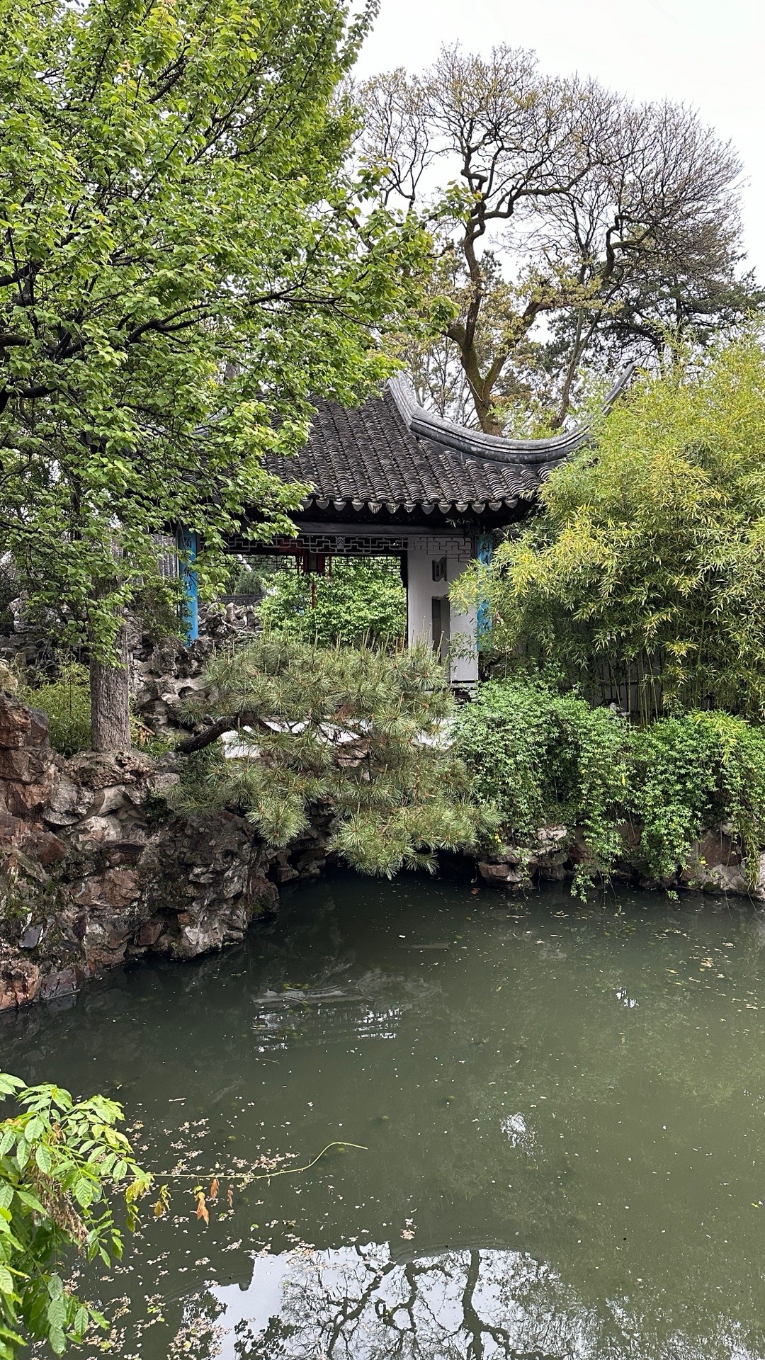 「狮林探幽」——苏州狮子林,山水田园间的古典雅韵