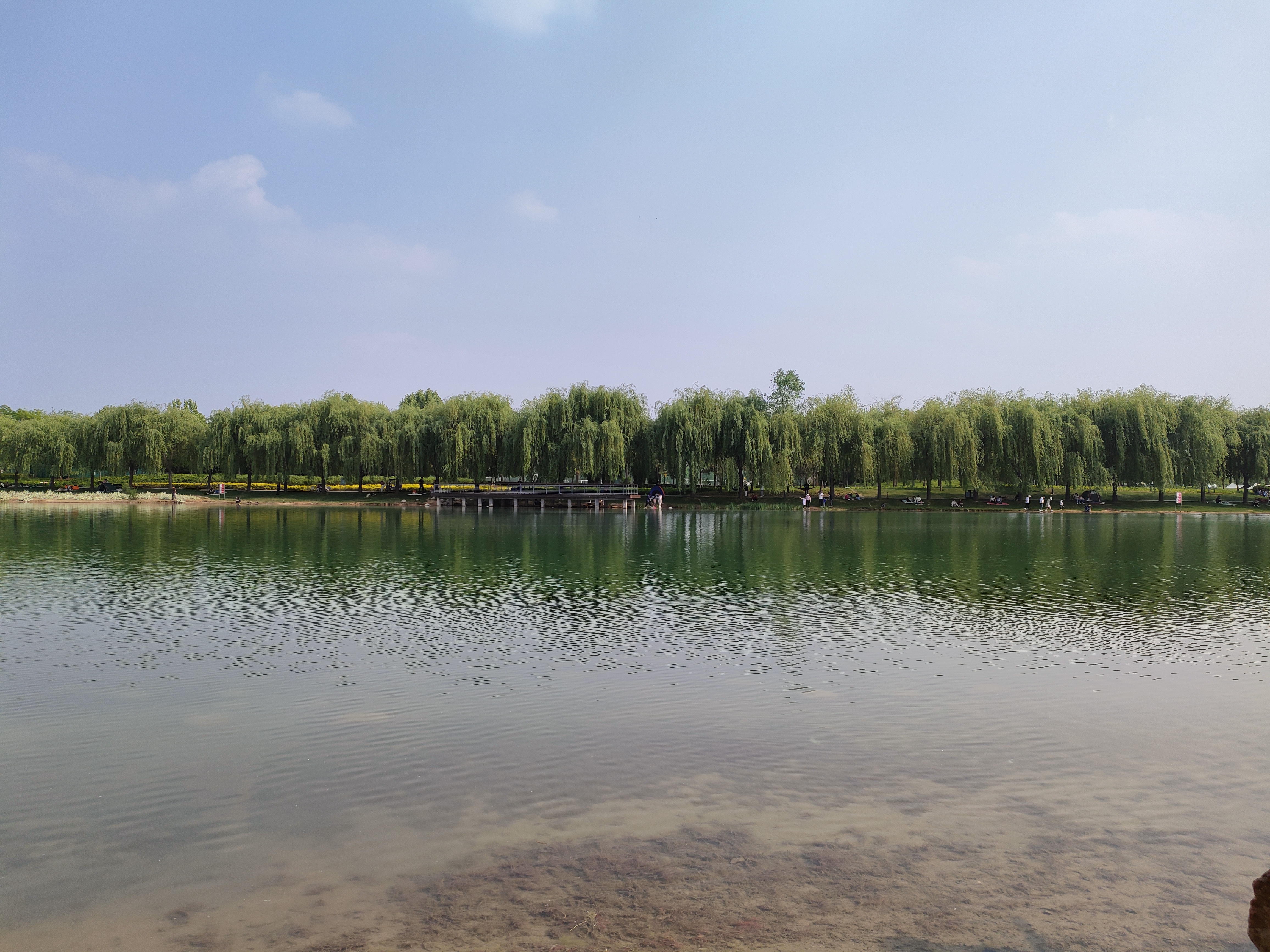 春日寻芳泗水滨,无边光景一时新 春天随便到哪走走