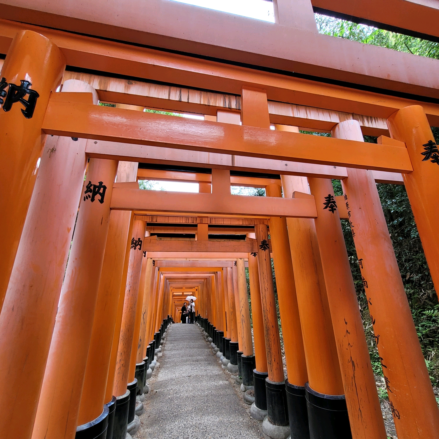 京都伏见稻荷大社的千本鸟居掠影