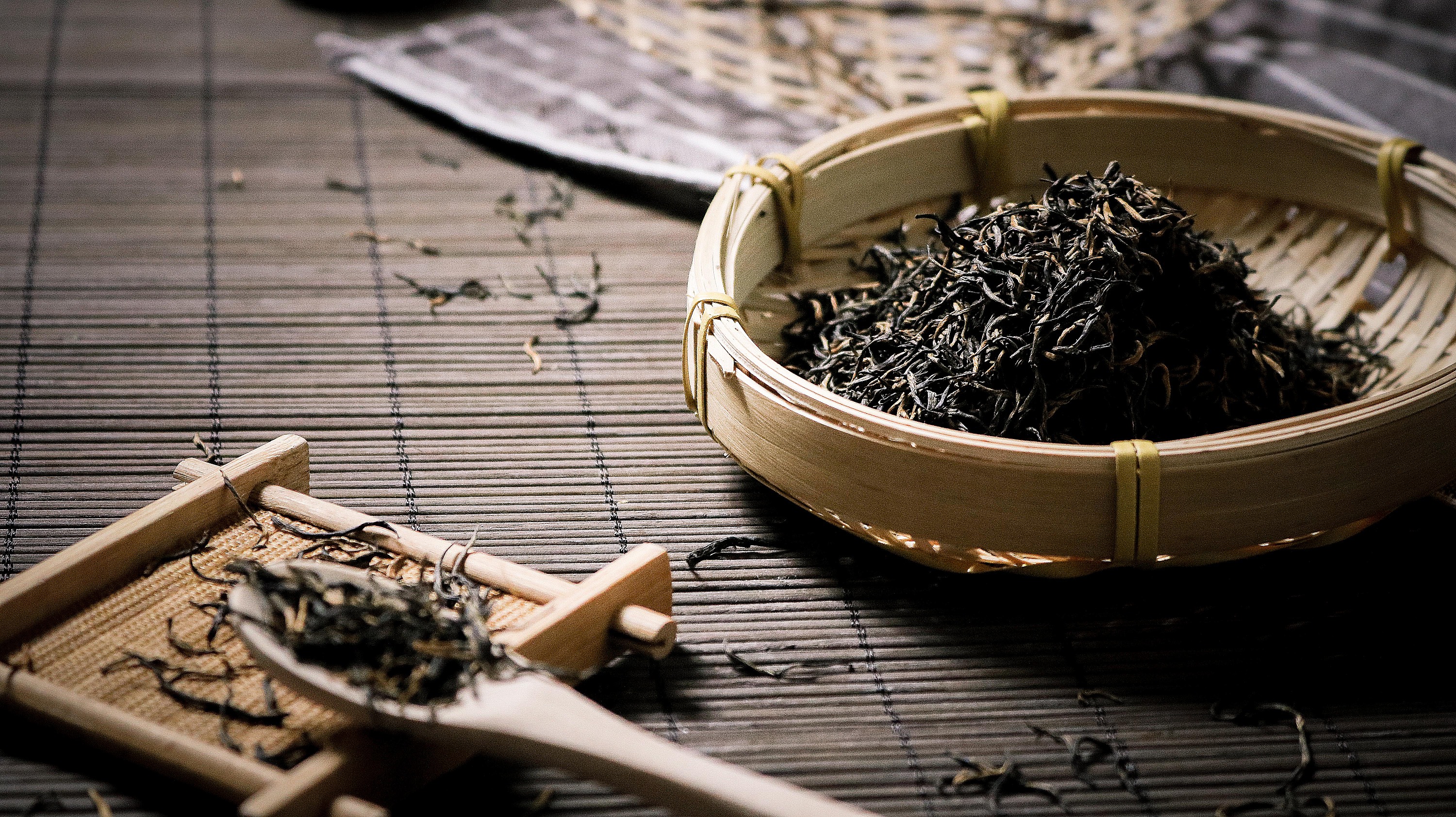 茶博会上都有什么?带小伙伴们看一下!