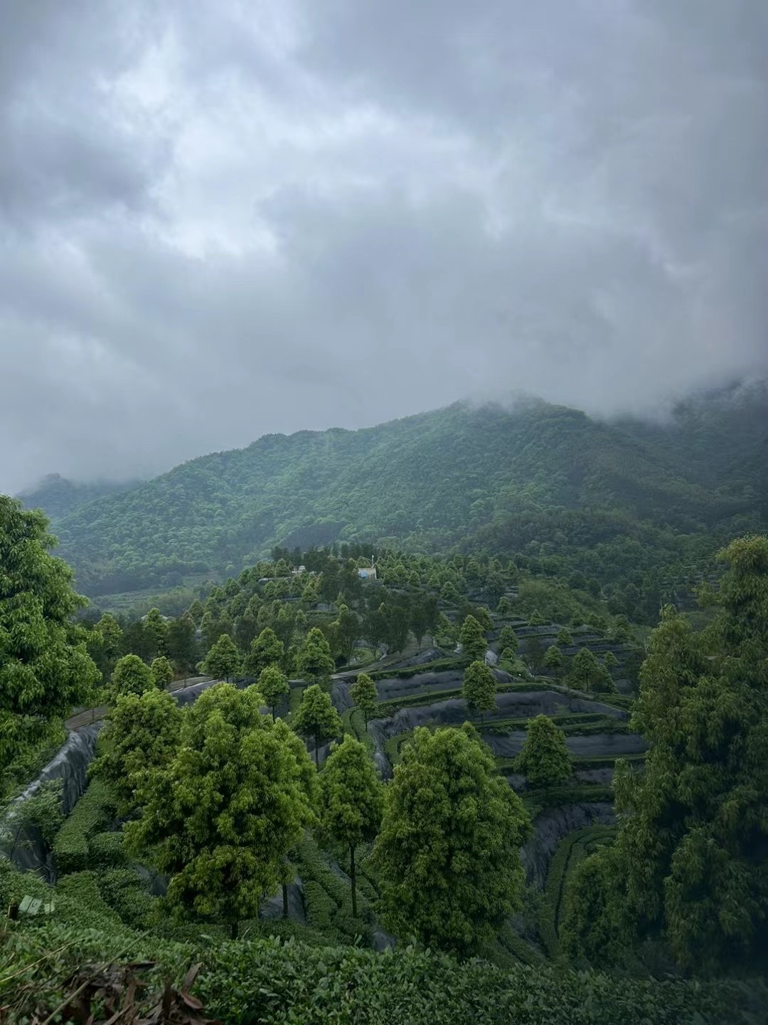 益阳安化小淹镇  1.交通:建议自驾,导航益阳小淹镇.  2.