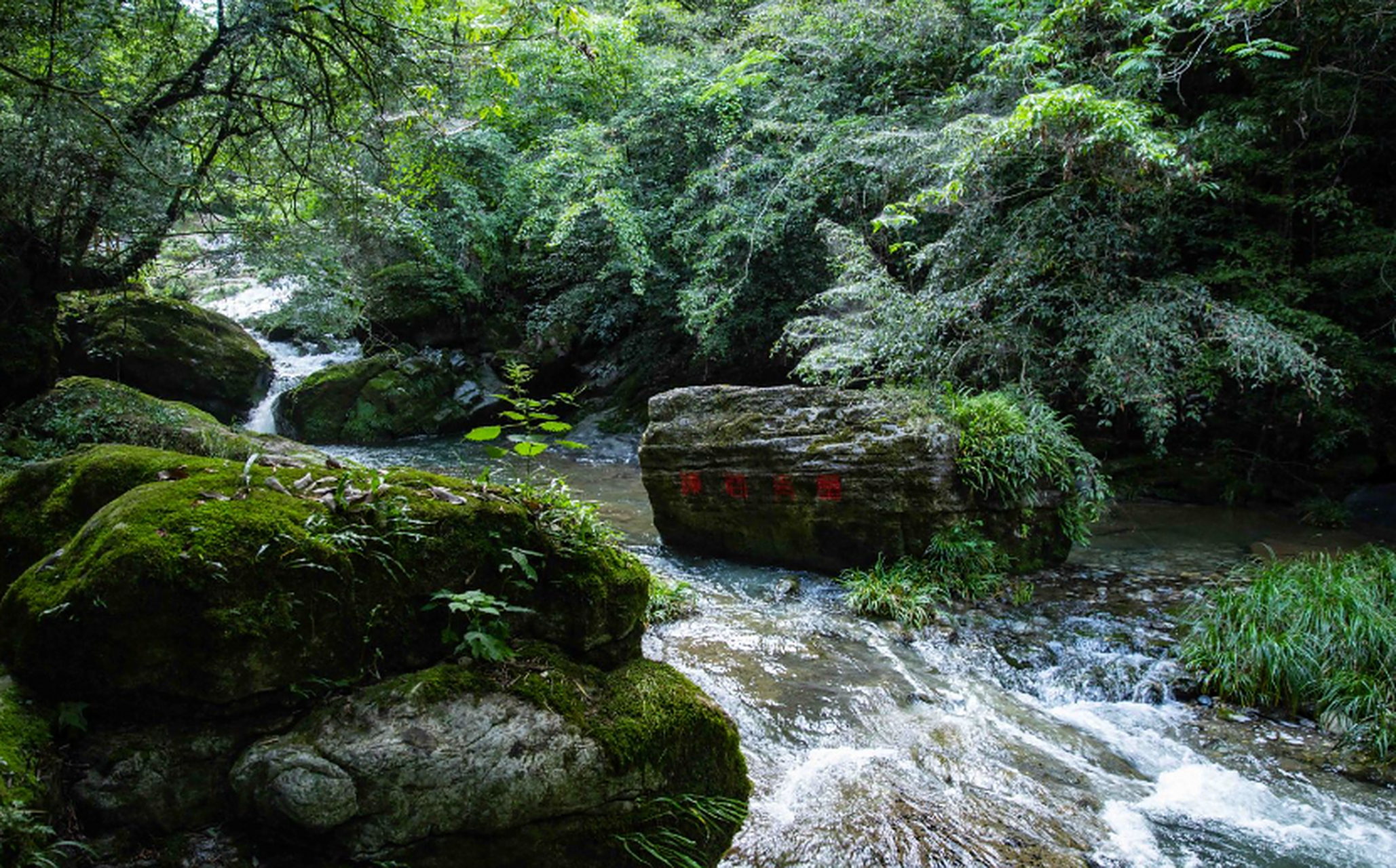 房县野人谷位于十堰市,以自然奇景,历史传说和生物多样性闻名.