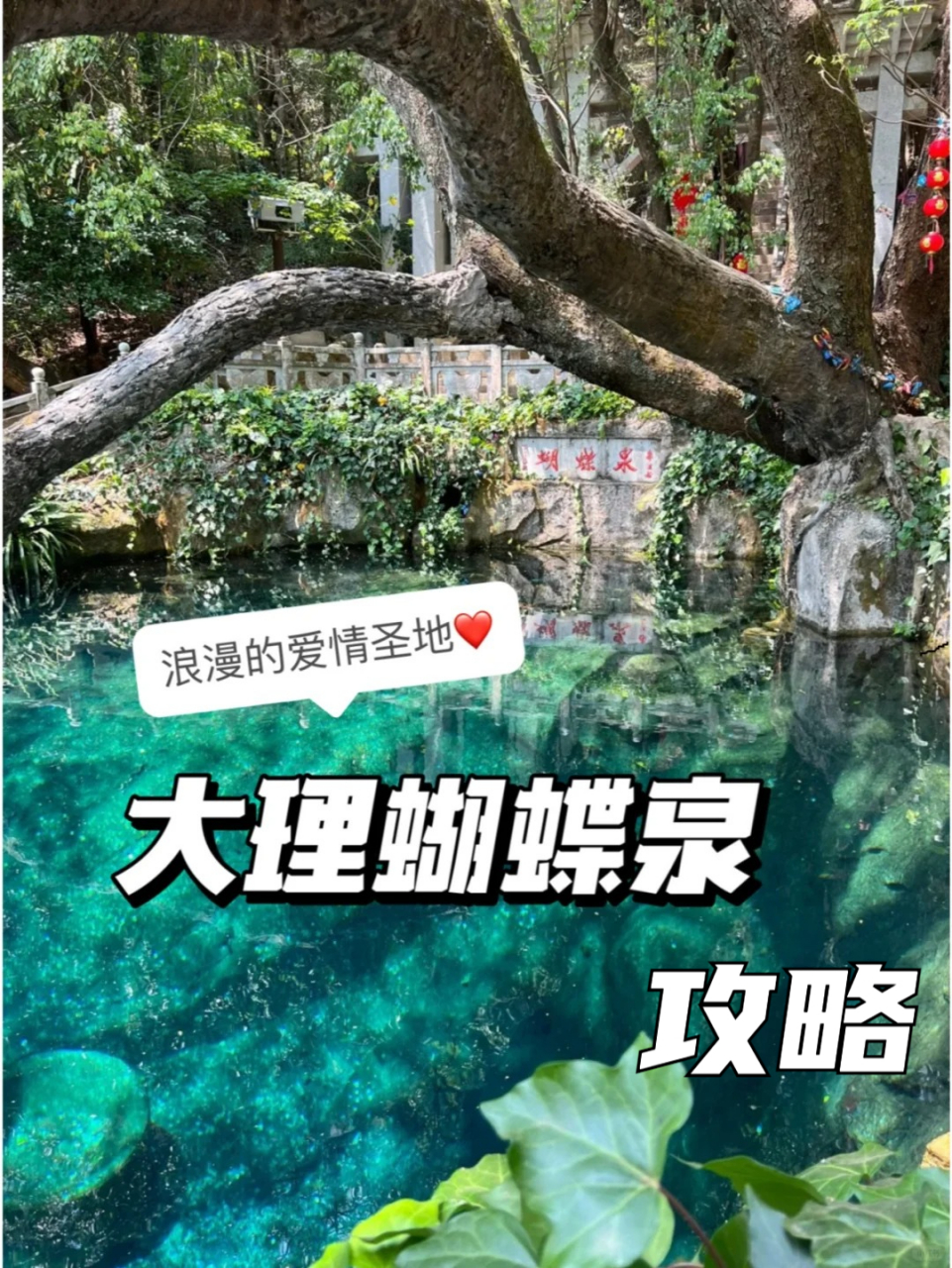 蝴蝶泉景区电话图片