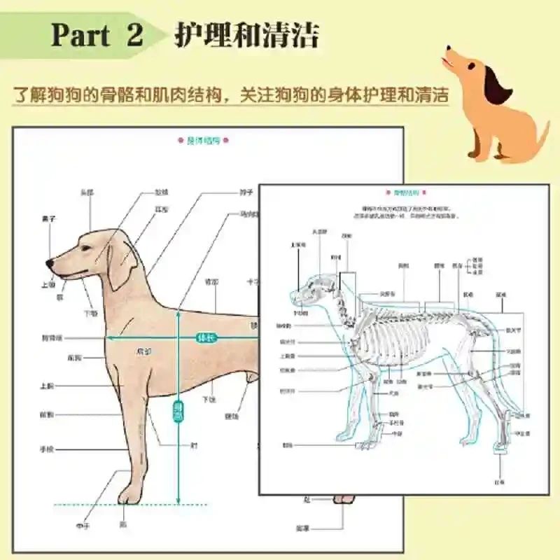 狗狗剃毛新手指南 《宠物狗美容图解教程》来帮忙