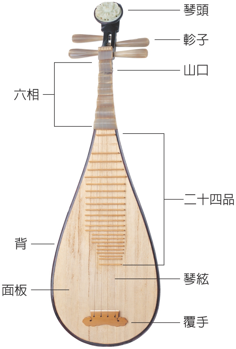 一分钟科普 琵琶跟二胡哪个属于弹拨乐器?