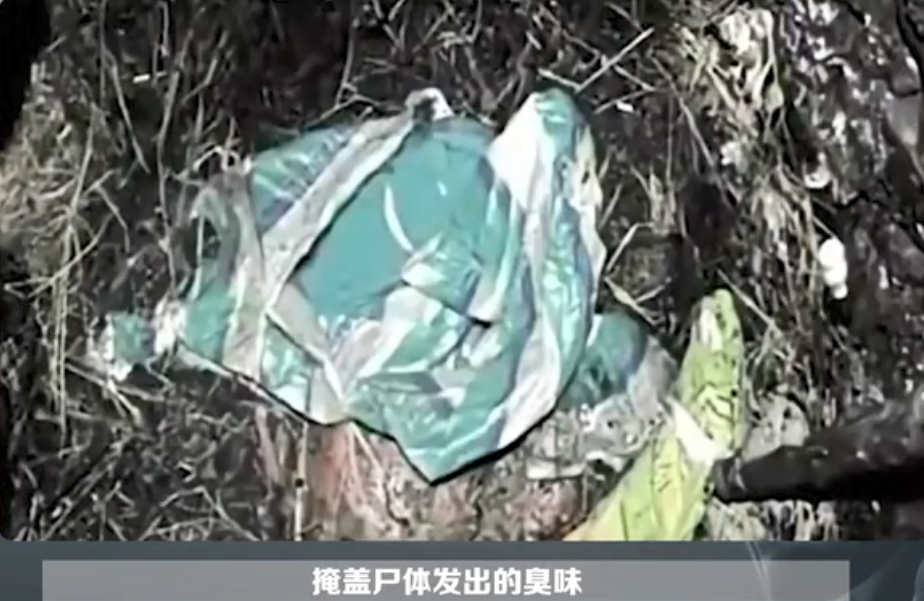 2010年,黑龙江省宁安市警方破获了一起特大杀人案件,凶手名叫苏红,是