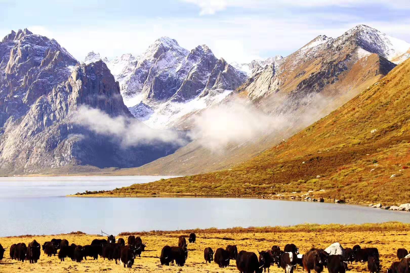 巴颜喀拉山和秦岭图片