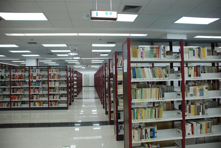 这位少年名叫林嘉文,是陕西西安人,而他之所以会被称为"天才少年",是