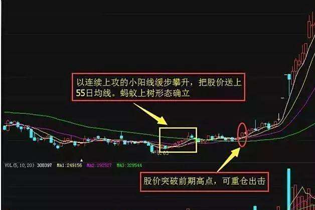 股票主力选择方法分析