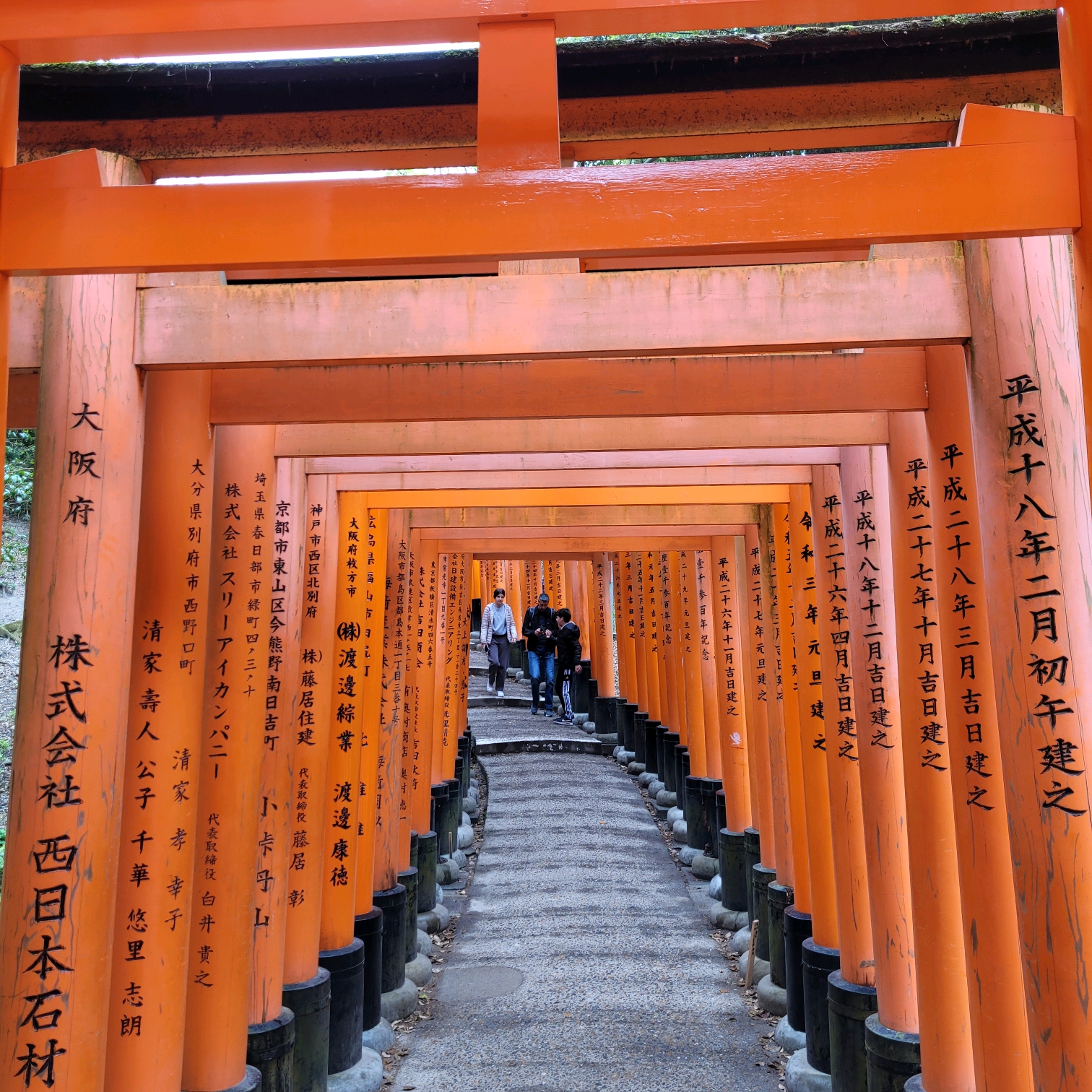 京都伏见稻荷大社的千本鸟居掠影