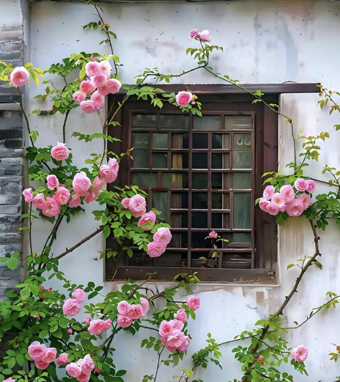 老家院子里的花墙